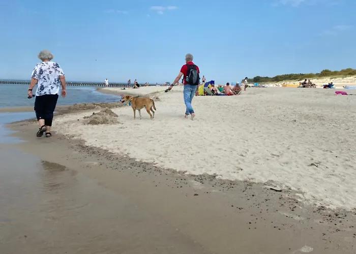 Chalé Letniskowe Jarek *